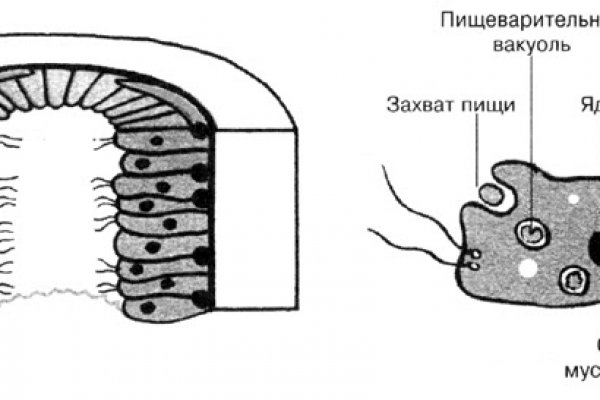 2krn cc что это