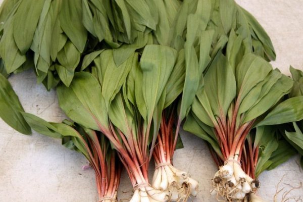 Кракен основная ссылка onion
